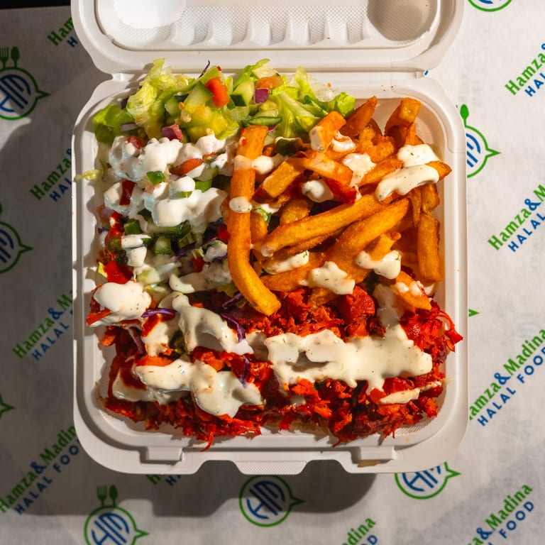 Loaded Fries Delight