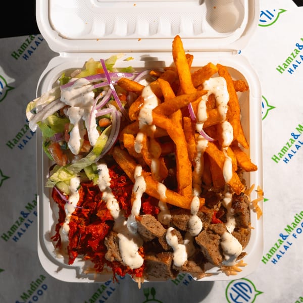 Halal food platter with chicken, lamb, fries, salad, and white sauce in a takeout container.